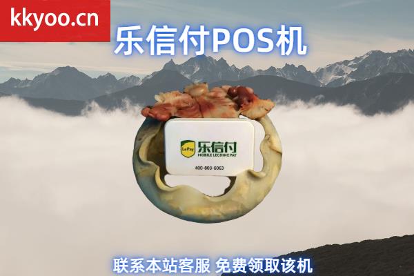 乐宣付手机POS机安全吗(乐付通pos机)